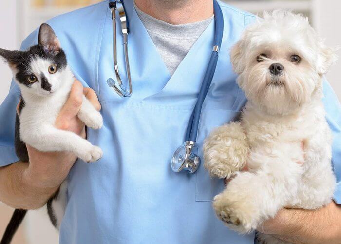 Referans Çalışmamız