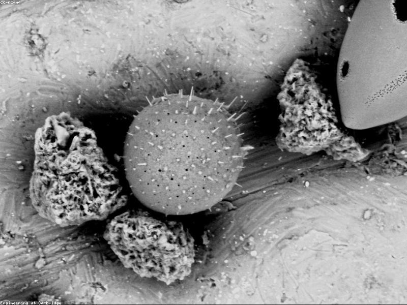 TÜİK Enflasyon Verilerini Açıkladı: Yıllık Oran Geriledi